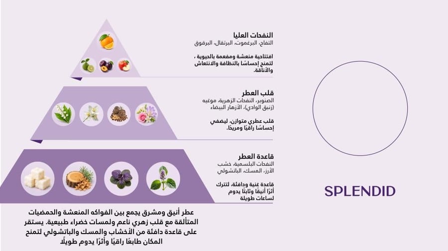سبليندد ـ SPLENDID