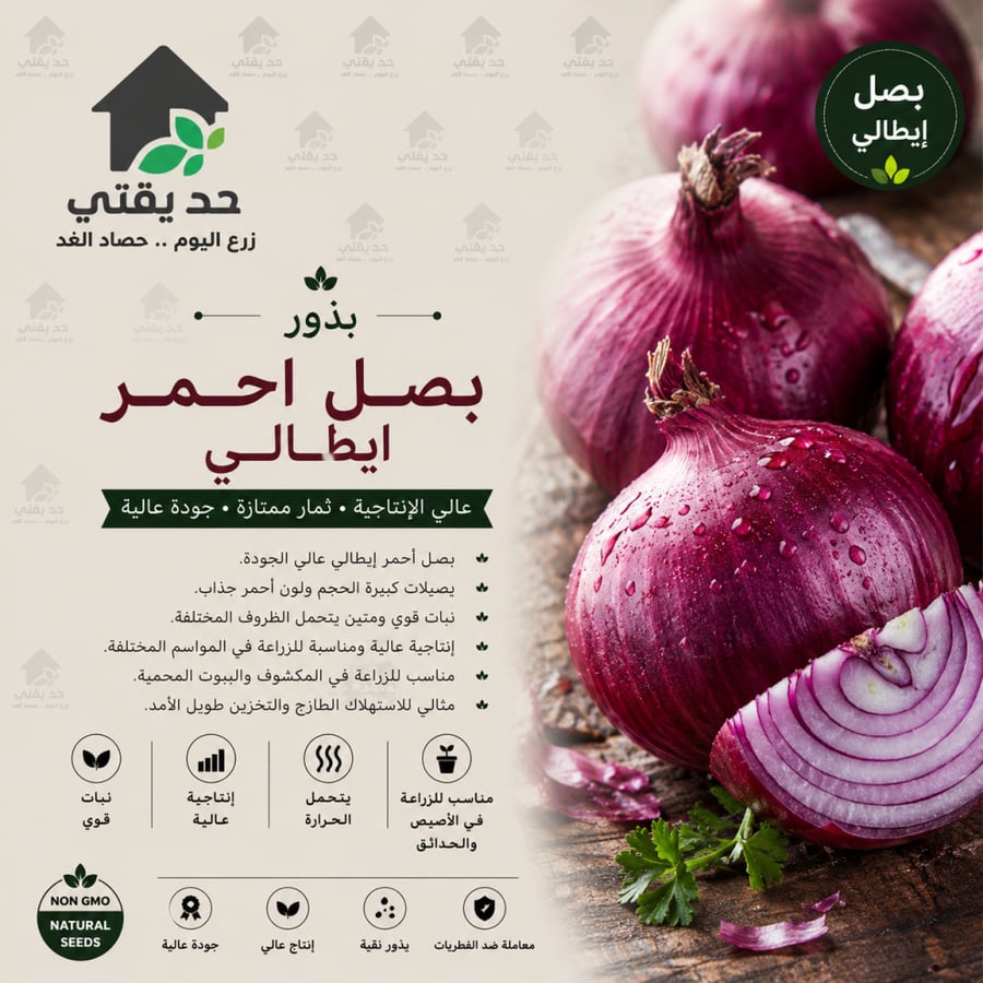 بصل احمر ايطالي