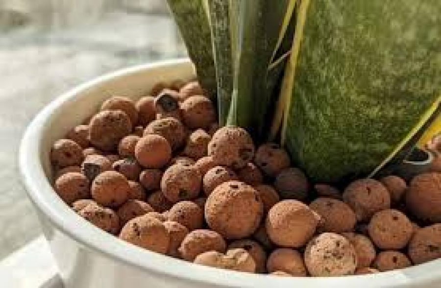 هيدروتون Hydroton للزراعة المائية