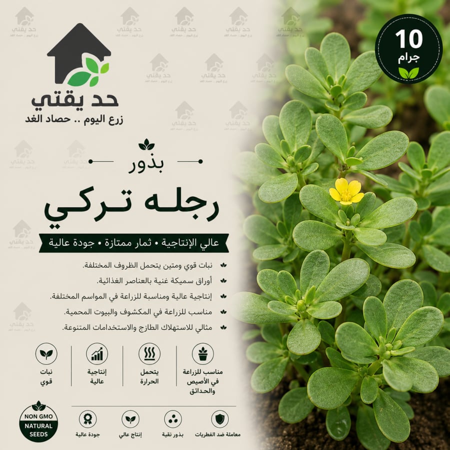 بذور رجله تركي 10 جم