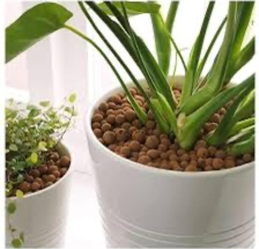 هيدروتون Hydroton للزراعة المائية