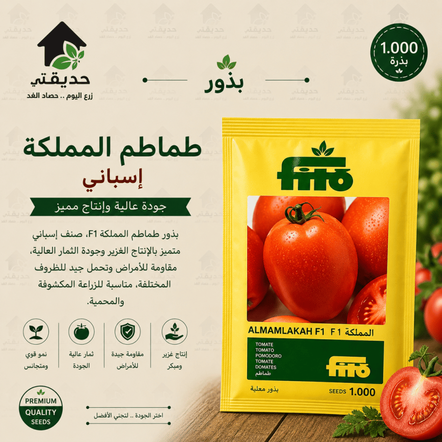 بذور طماطم المملكة F1 ا 1000 بذرة