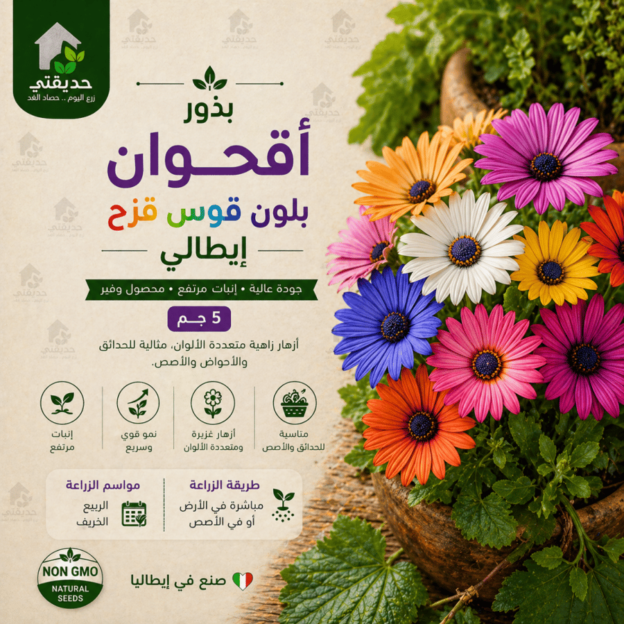 بذور اقحوان بلون قوس قزح 5 جم