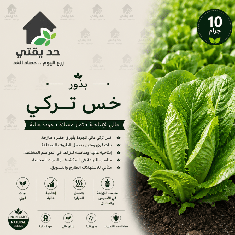 باكت خس تركي 10 جم
