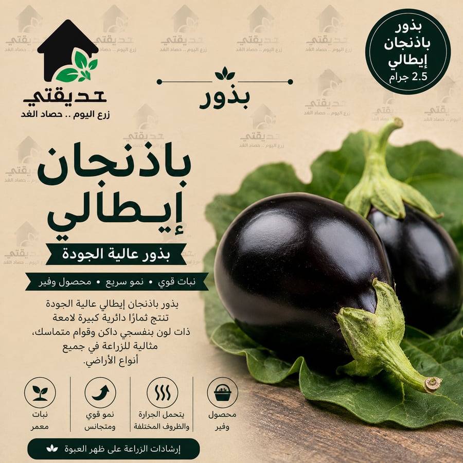 بذور باذنجان إيطالي