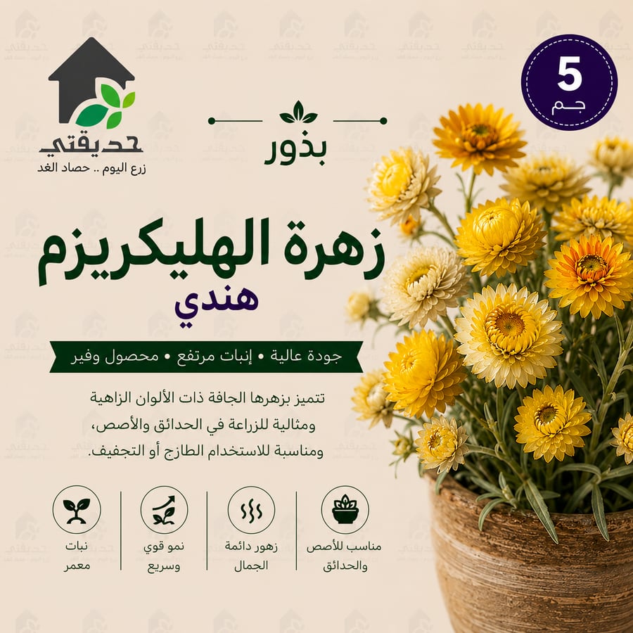 زهرة الهليكريزم هندي 5 جم