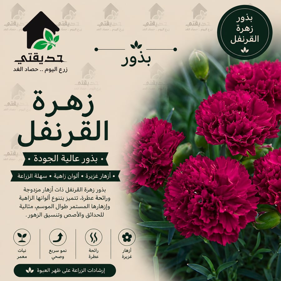 بذور زهرة القرنفل