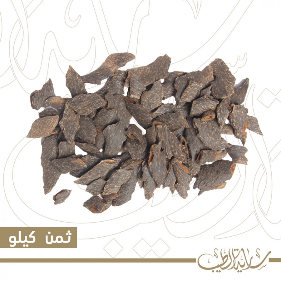 العود البنغالي