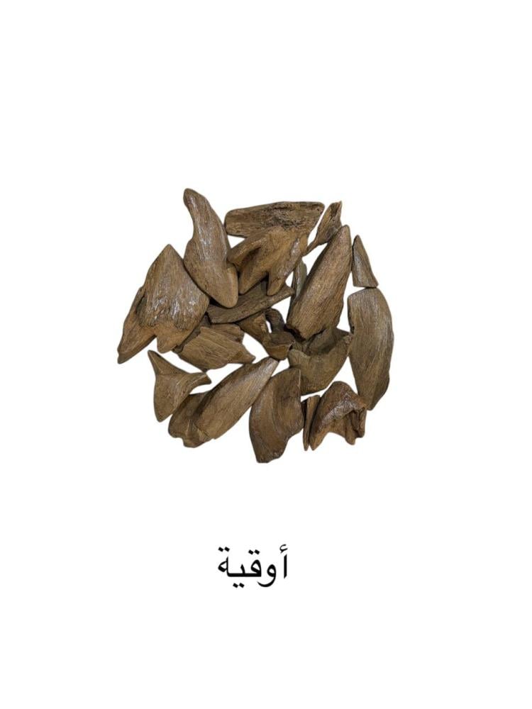 مروكي آصقون دبل ميني