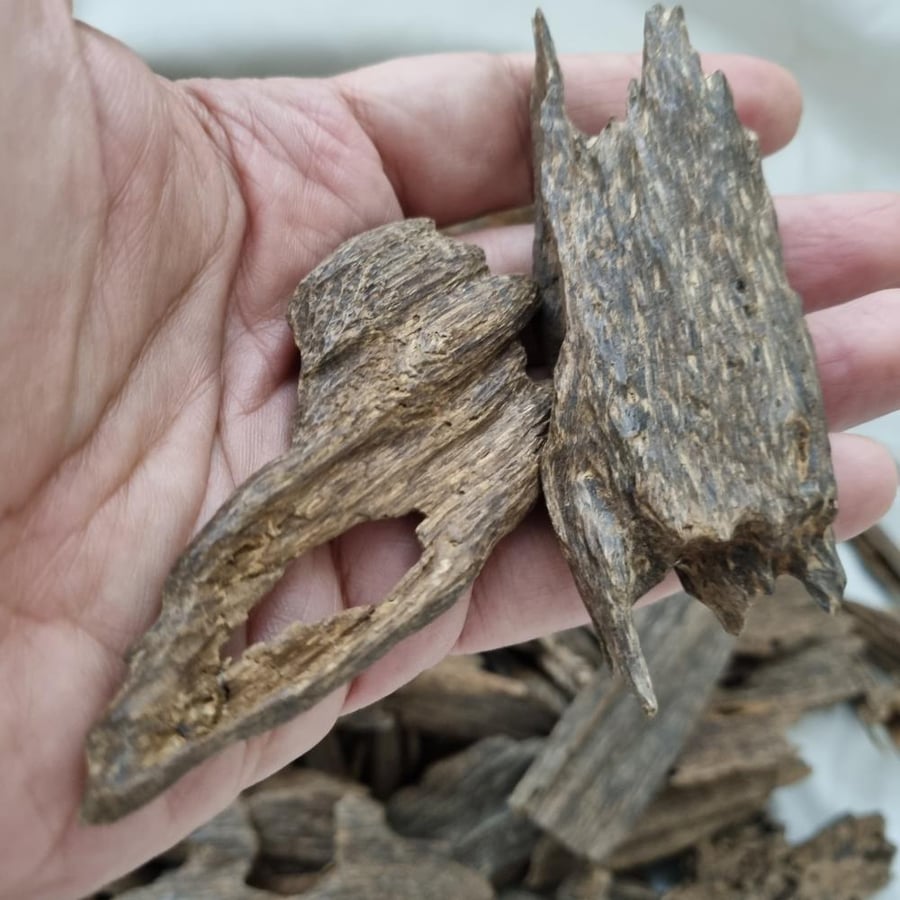 An old luxurious Malaysian oud