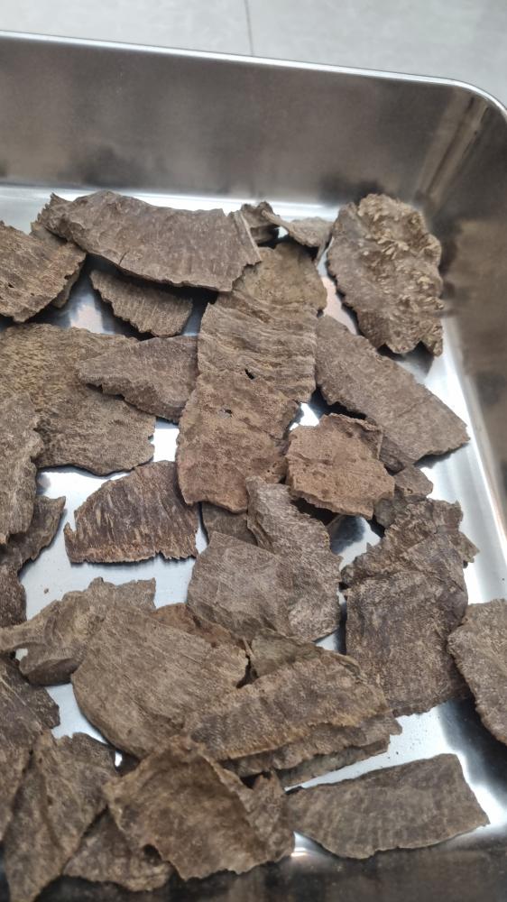 جار هندي سوبر مرتفع
