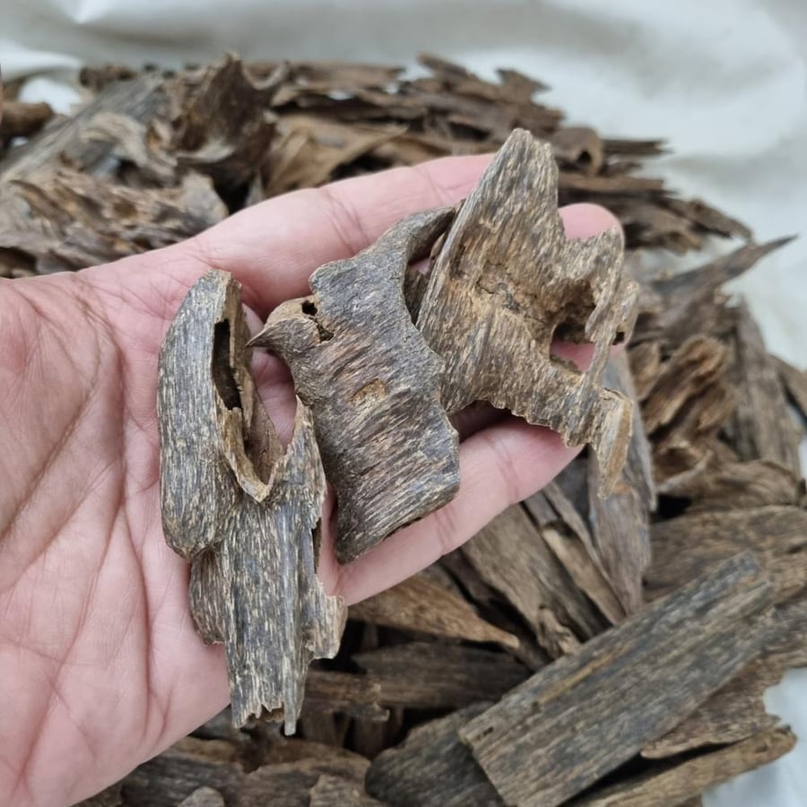 An old luxurious Malaysian oud