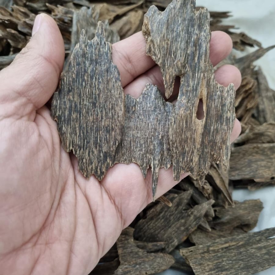 An old luxurious Malaysian oud