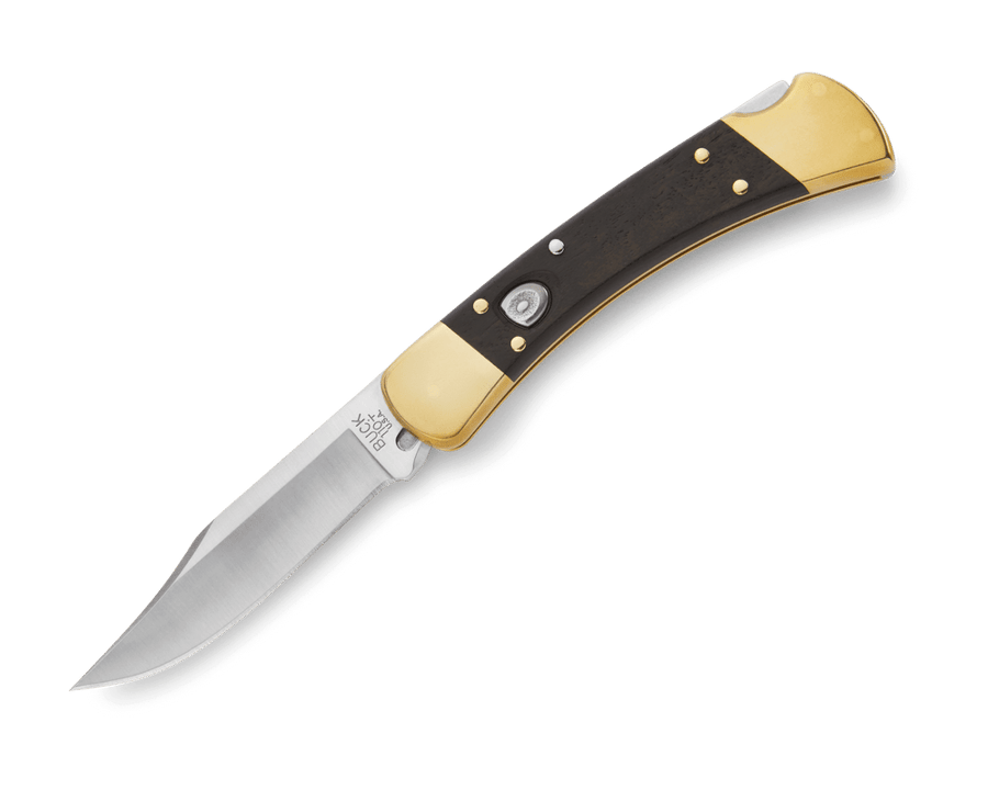 مطوى BUCK 110BRSA Auto Lockback