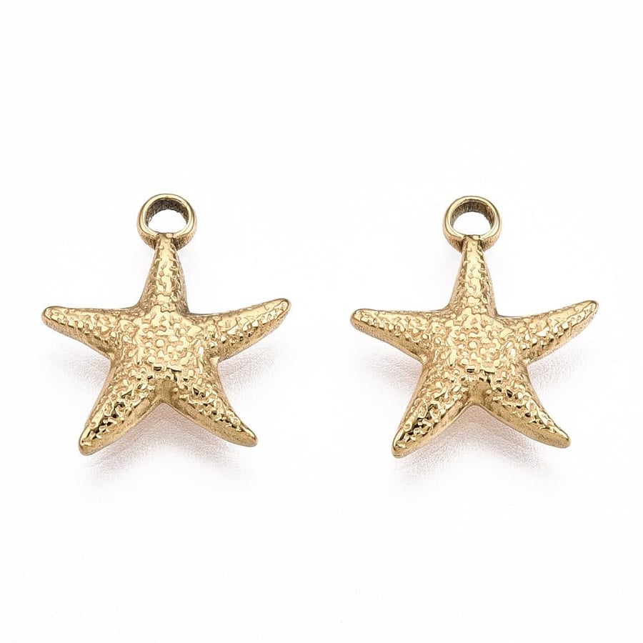 Charm small starfish