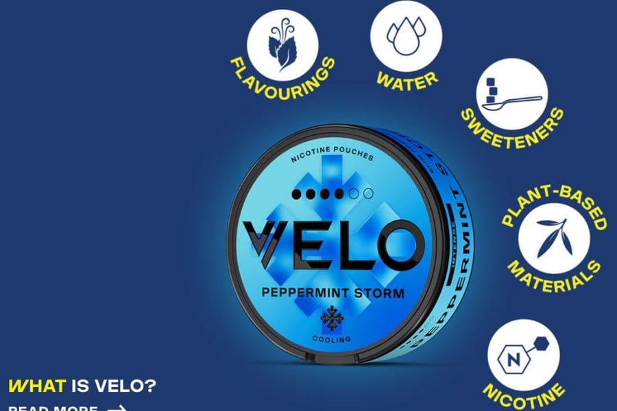 اظرف نيكوتين فيلو نعناع مثلج velo nicotine pouches