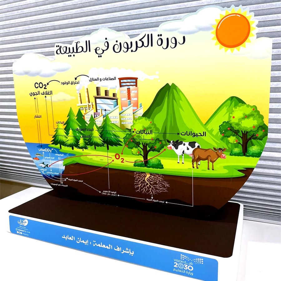 مجسم دورة الكربون في الطبيعة