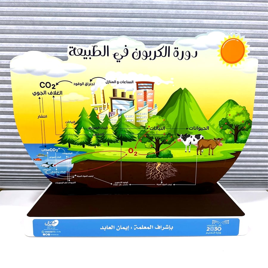 مجسم دورة الكربون في الطبيعة