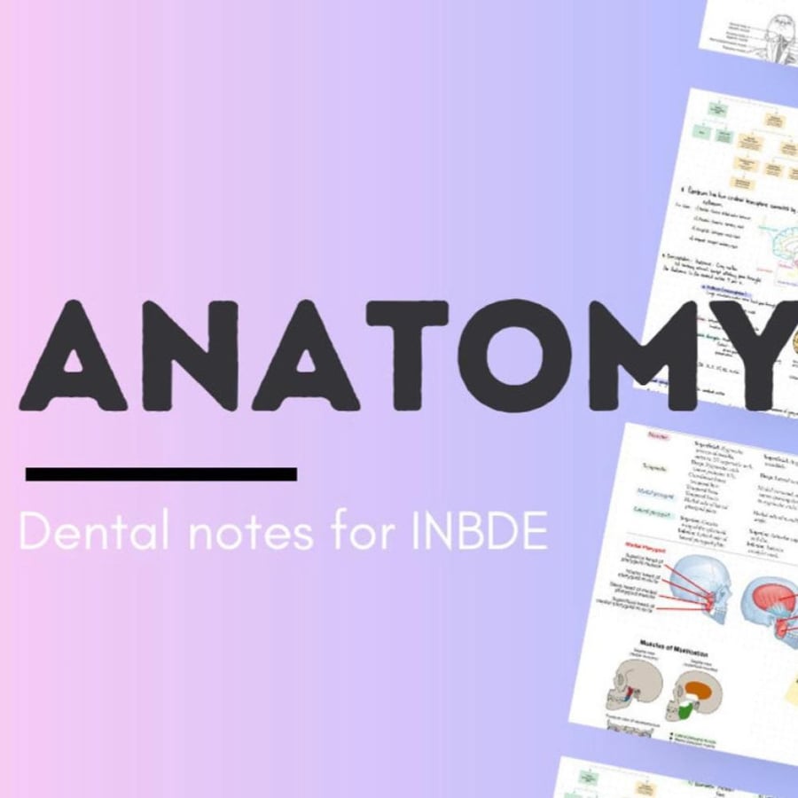 head and neck bundle for dental students  natomy, neck and muscles