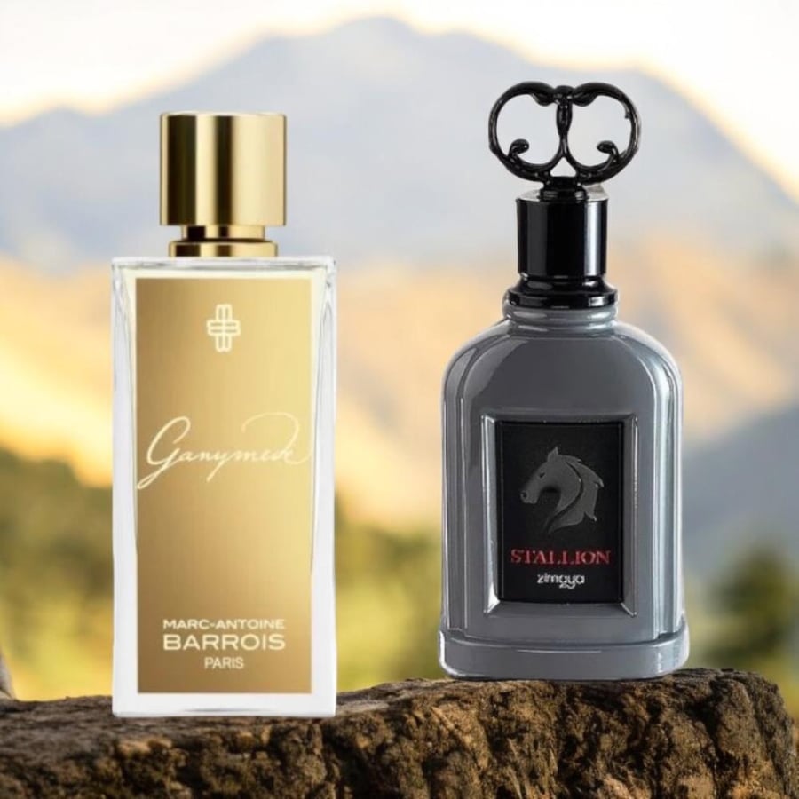 عطر ستاليون للرجال