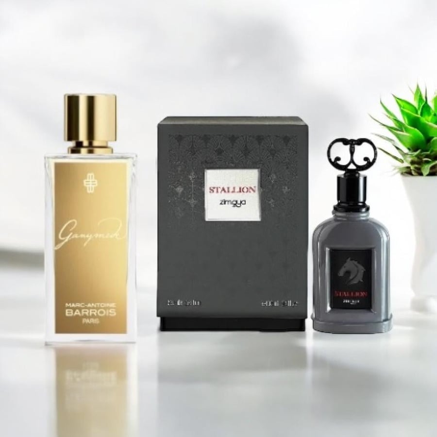 عطر ستاليون للرجال