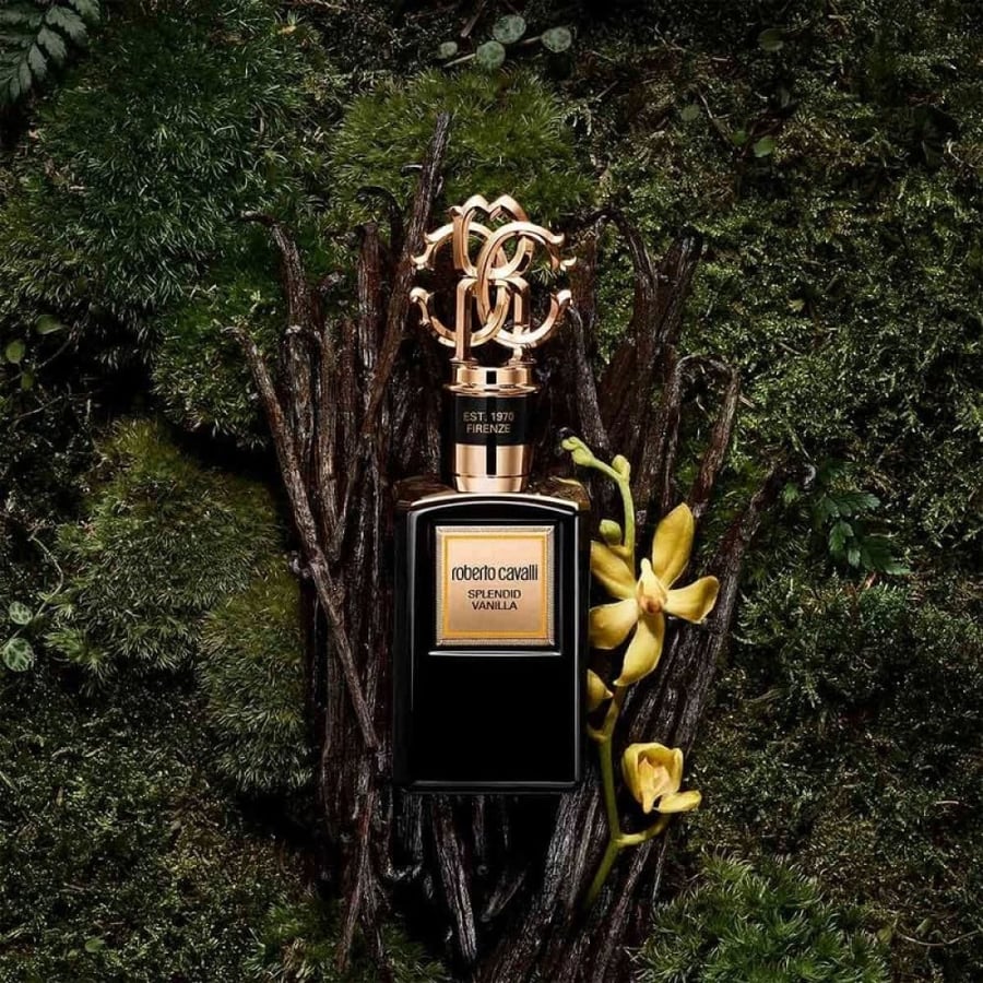 عطر روبرتو كافالي سبلانديد فانيلا أو دو برفان 100مل