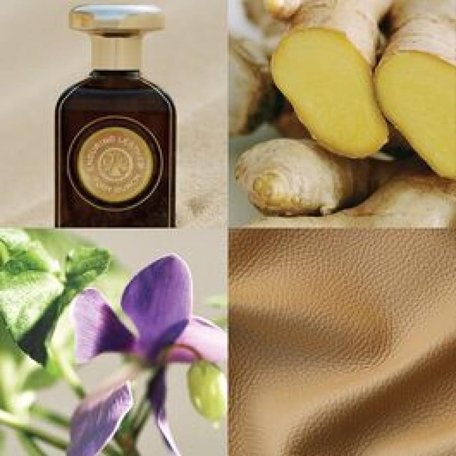 مجموعة عطور توري بوتش الفخمة