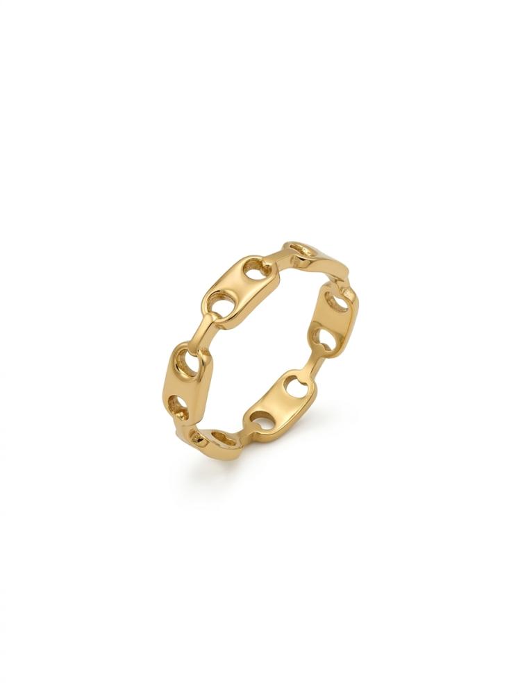 chain ring2