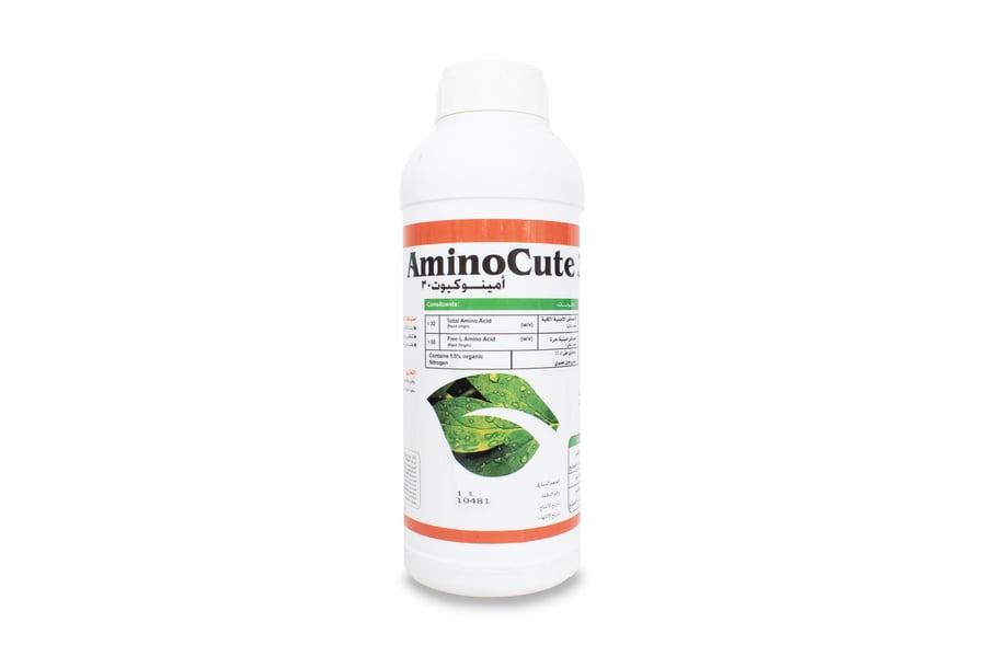 Aminocute 30 Amino Acids 1 Liter