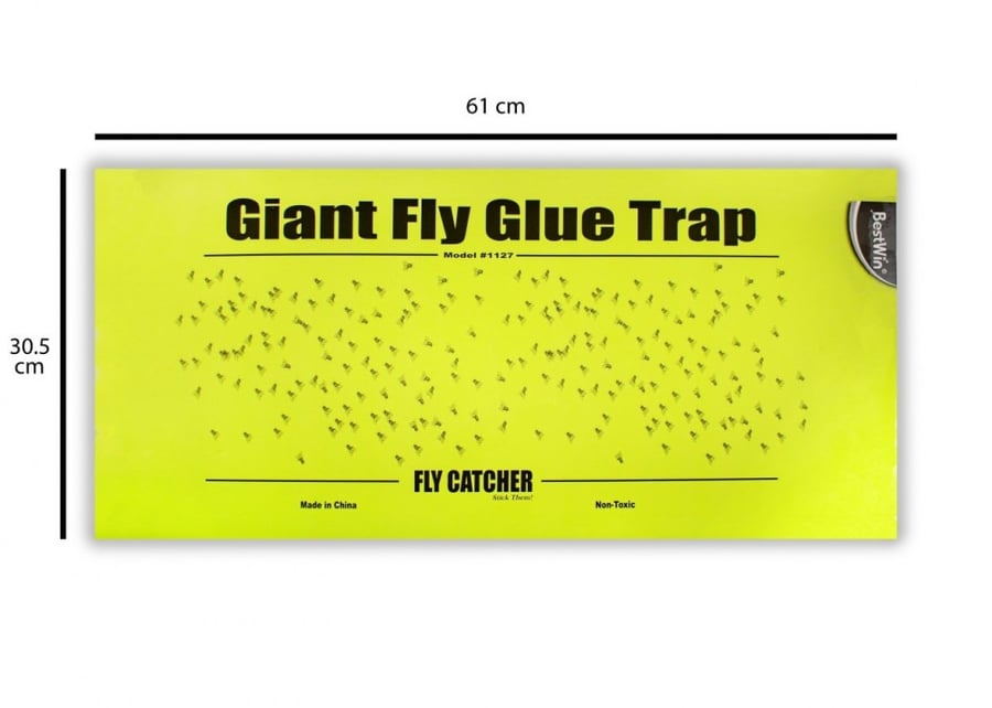 Giant fly glue board 61*30 cm - 96 pcs Box