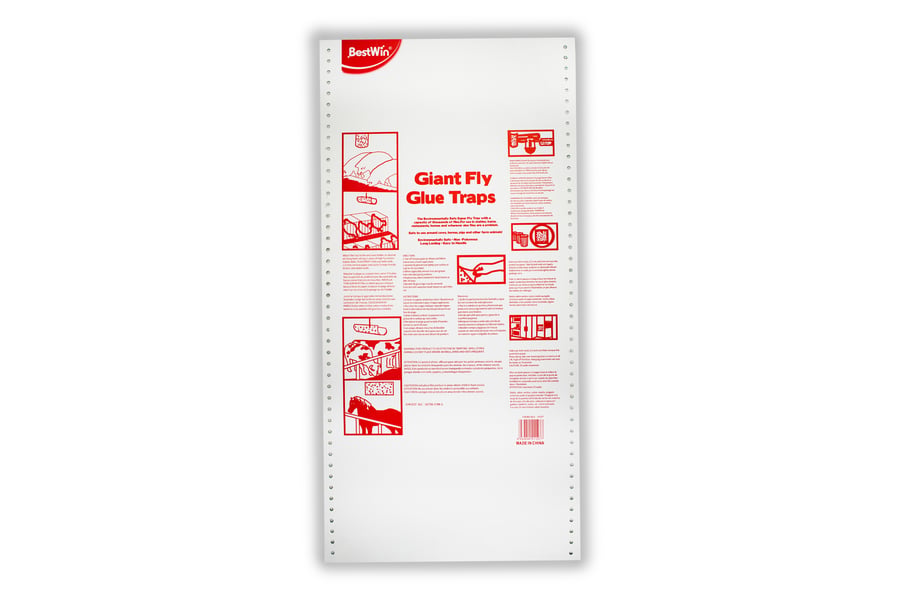 Giant fly glue board 61*30 cm - 96 pcs Box