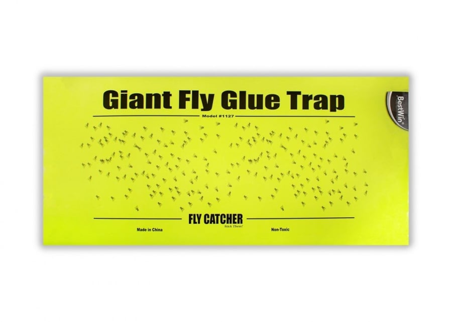 Giant fly glue board 61*30 cm - 96 pcs Box