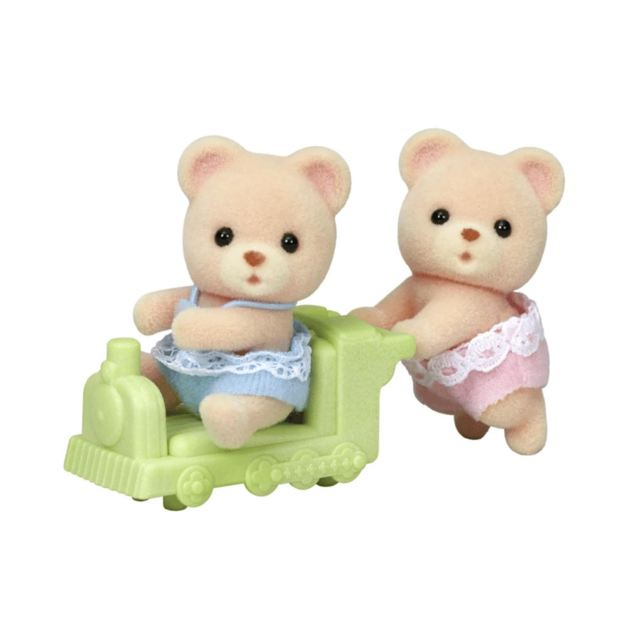 Twin Bear Group