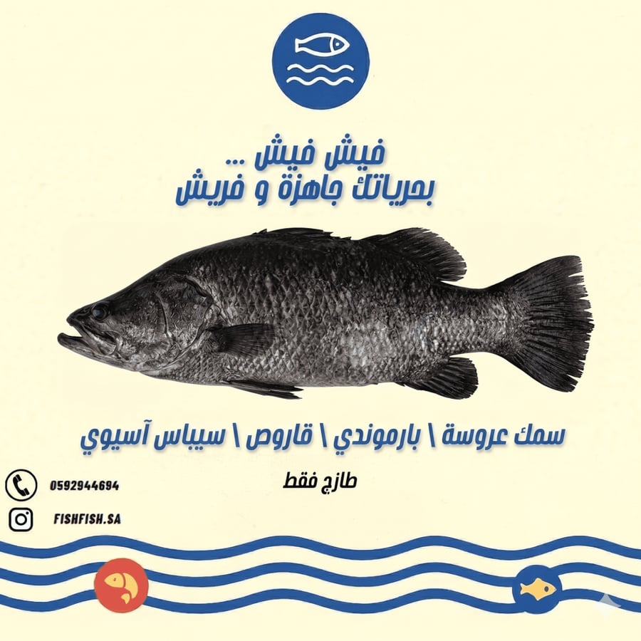 سمك سيباس / عروس