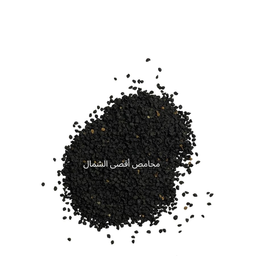بذور البصل