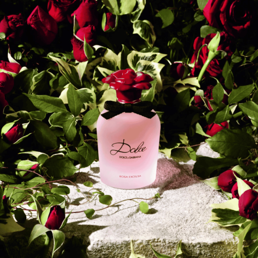 عطر دولتشي غابانا دولسي وردة روزا اكسلسا او دو بارفيوم 75مل