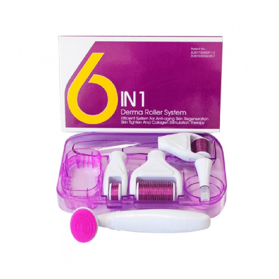 DERMA ROLLER SYSTEM 6 IN 1