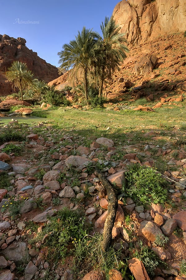الطبيعه - جو