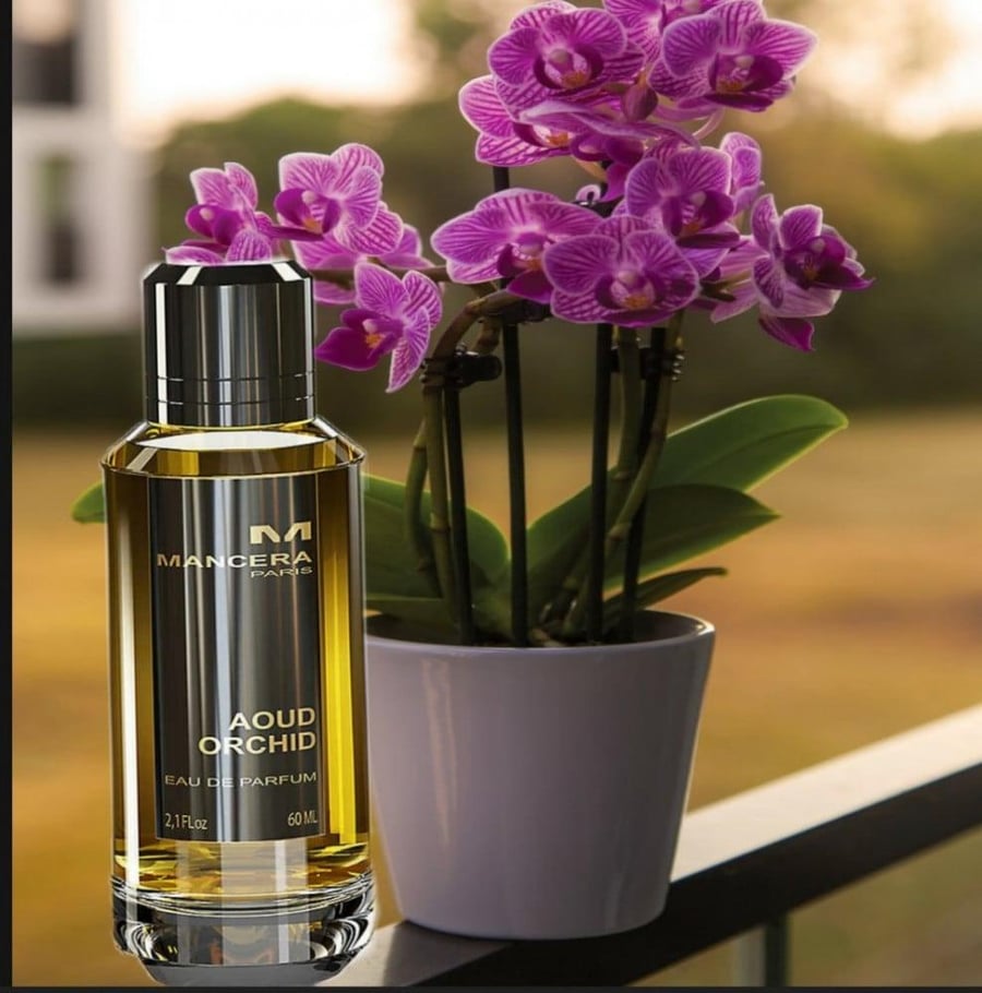 عطر مانسيرا عود اوركيد او دو بارفيوم 120 مل
