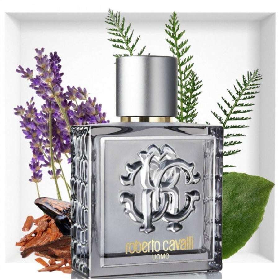 عطر روبيرتو كفالي اومو سيلفر ايسنس او دو تواليت 100 مل
