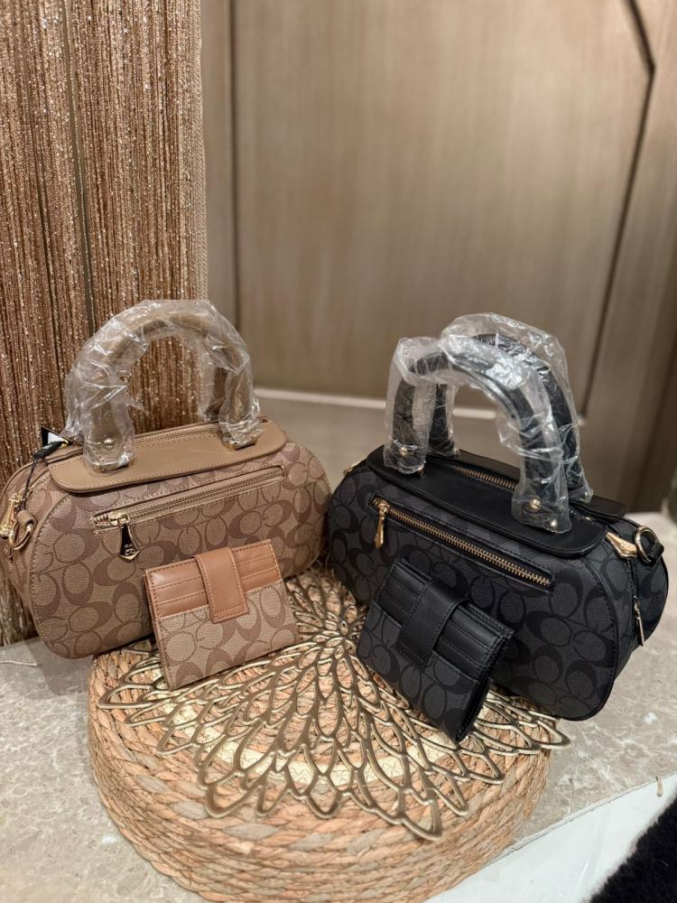 حقيبة Coach الفاخرة