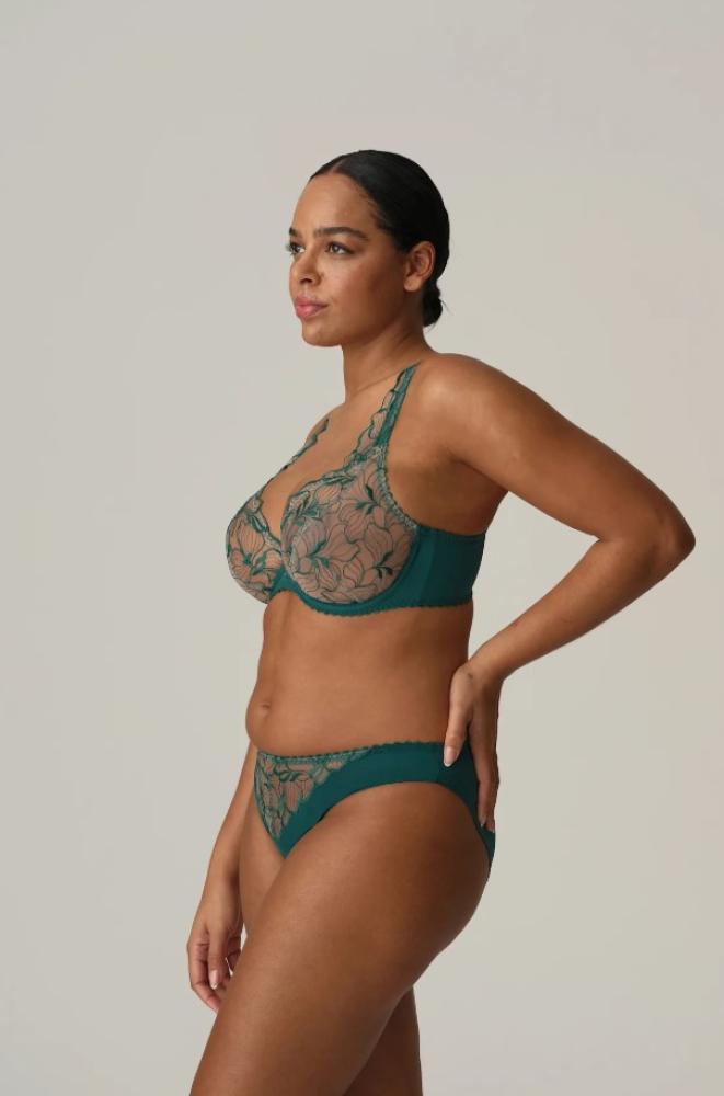 Primadonna - Springdale Rio Brief