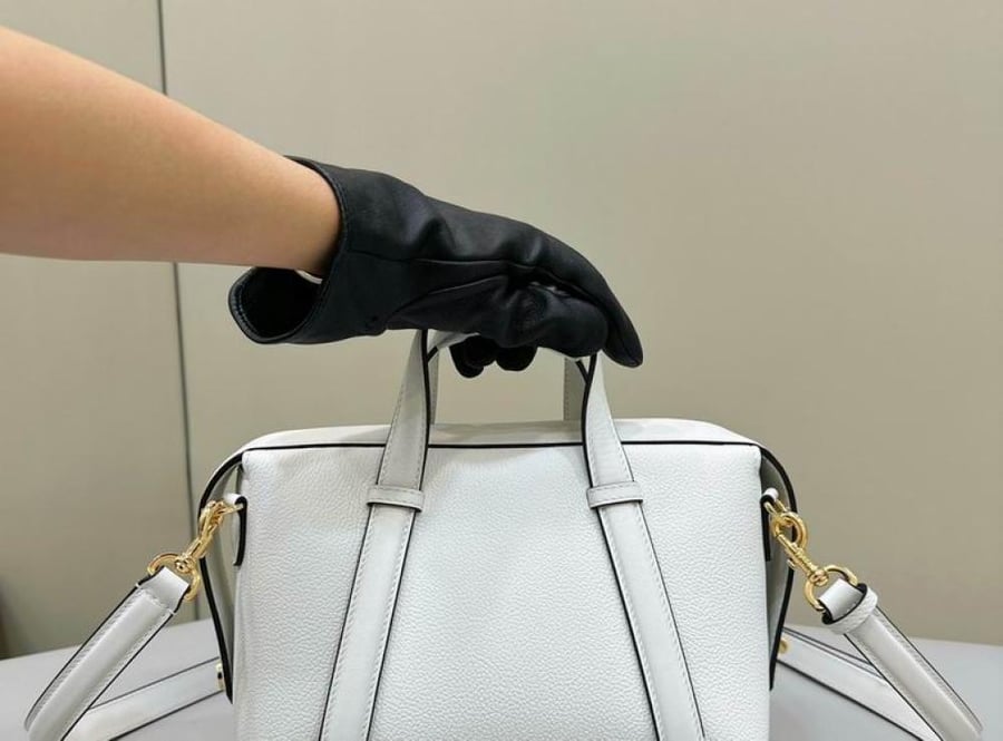 Fendi Boston- Master Quality