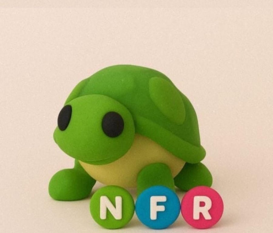 NFR Turtle