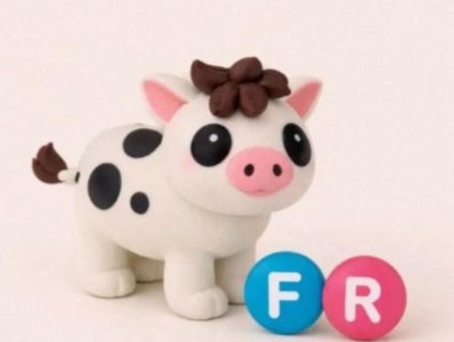 Mini Pig