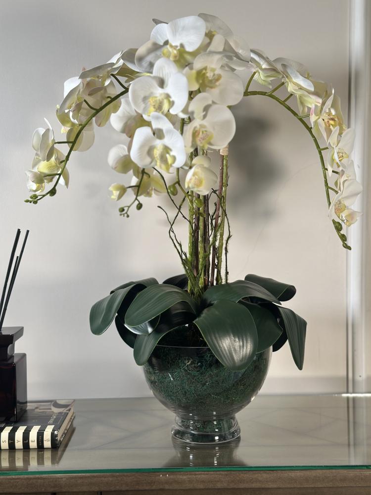 Orchid with four branches