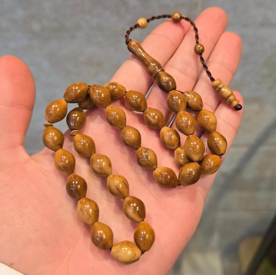 سبحة ثمرة الكوك