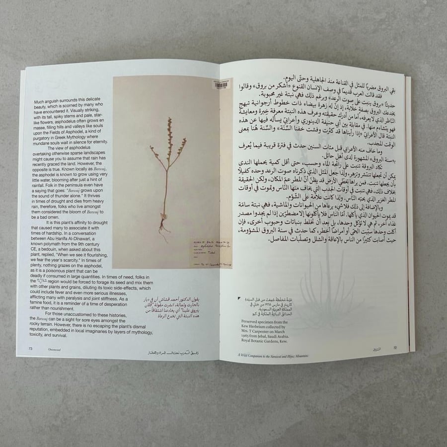 رفيق الدرب: جبال السروات والحجاز