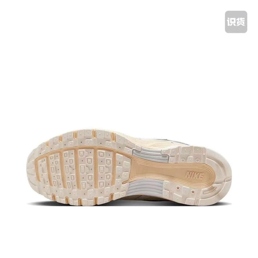 Nike P-6000