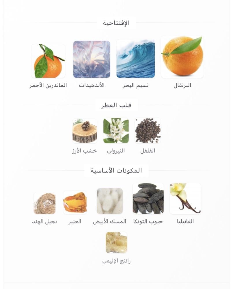 مستوحى الور هوم سبورت شانيل - 100 مل